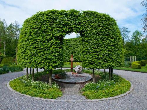 a large bush with a fountain in a garden at Haus zum Nussbaum in Lindau