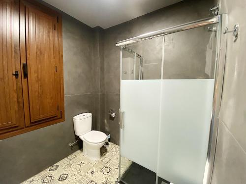 セビリアにあるDiseño Trianaのバスルーム(トイレ、ガラス張りのシャワー付)
