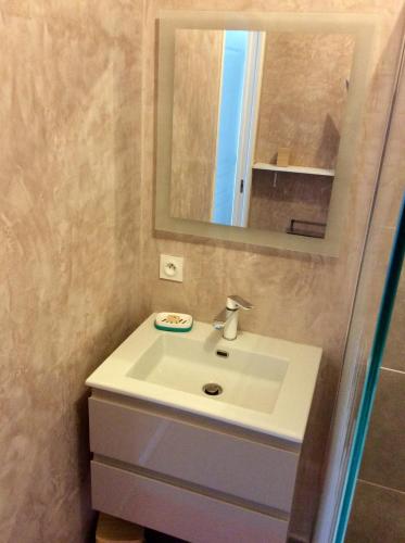 une salle de bain avec un lavabo blanc et un miroir dans l'établissement LES AJONCS, à Arzon