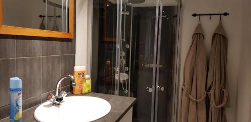 W łazience znajduje się umywalka i prysznic. w obiekcie Glamping Les Arbres, Luxe Safaritent met zwembad w mieście Cronat