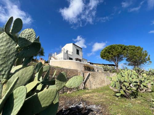 a house on top of a wall with a cactus at Belvedere in Santa Margherita di Belice