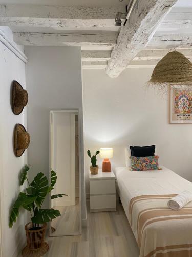 a bedroom with two beds and a potted plant at Boulevard 26 in San Sebastián