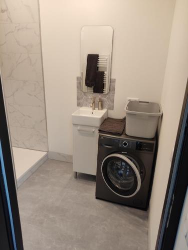 a bathroom with a washing machine and a sink at Résidence du Lavoir in Saint-Étienne-de-Saint-Geoirs