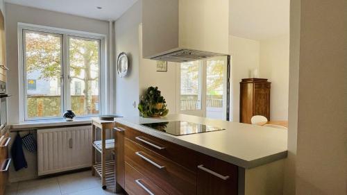 a kitchen with a sink and a counter top at ApartmentInCopenhagen Apartment 1517 in Copenhagen