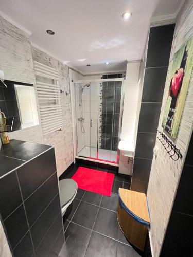 シュクラルスカ・ポレンバにあるAPARTAMENT NAD KAMIEŃCZYKIEM IIのバスルーム(シャワー、赤い敷物付)