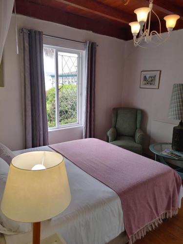 a bedroom with a bed and a chair and a window at Yellowwood Lodge in Knysna