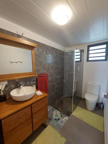 La salle de bains est pourvue d'un lavabo, d'une douche et de toilettes. dans l'établissement Nidamour, un logement fait pour vous, à Saint-Paul