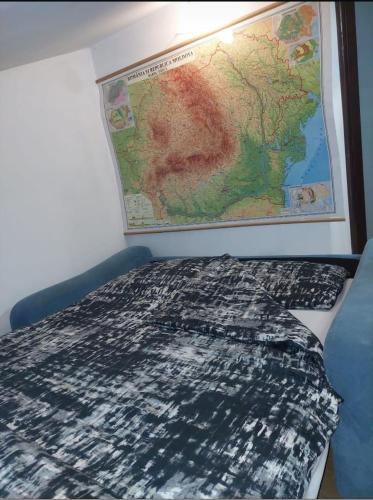 a map hanging on a wall next to a bed at Camere Centrale in Piteşti