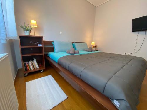 a bedroom with a large bed and a television at Ano Patisia Luxury Apartment in Athens