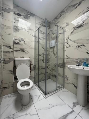 a bathroom with a toilet and a shower and a sink at Top of the Town No.5 in Cootehill