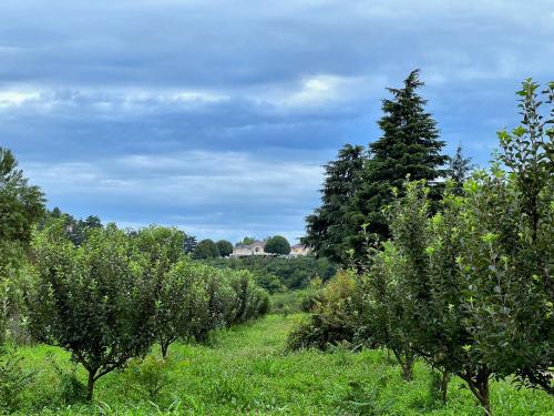 a field of trees with a house in the background at Karan Mahal in Srinagar