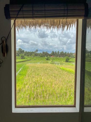 a window with a view of a field of grass at Woywoy Escape Samu (Adults Only) in Ubud