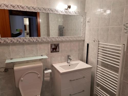 a bathroom with a toilet and a sink and a mirror at Studio Mavrinc in Kranjska Gora