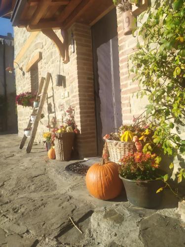 a group of pumpkins sitting outside of a house at b&b La Corte dei Cerri- Il Piccolo Chalet in Frassinoro