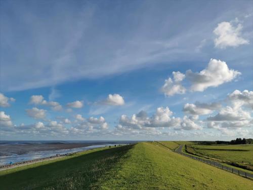 ein grasbewachsenes Feld neben dem Ozean mit wolkigem Himmel in der Unterkunft Kleine Auszeit Pellworm in Pellworm