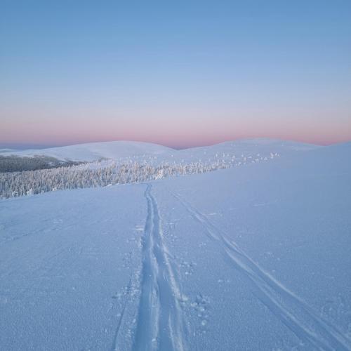 a road in the snow with trees in the distance at Korpi in Äkäslompolo