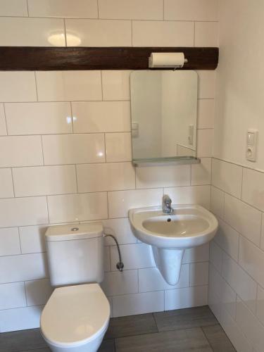 a bathroom with a toilet and a sink at Droom b&b Čermná in Čermná