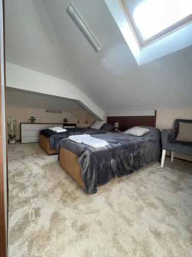 two beds in a large room with a skylight at Freya SPA Apartments in Niš
