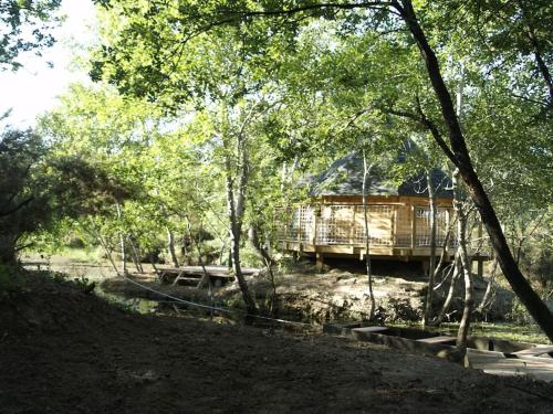 a wooden cabin in the middle of a forest at Le Bois Davy in Le Thoureil