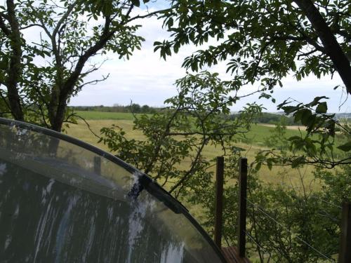 a car windshield with a view of a field at Le Bois Davy in Le Thoureil