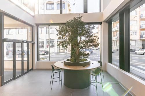 a potted tree sitting on a table in a room with windows at Camplus Regio Parco in Turin