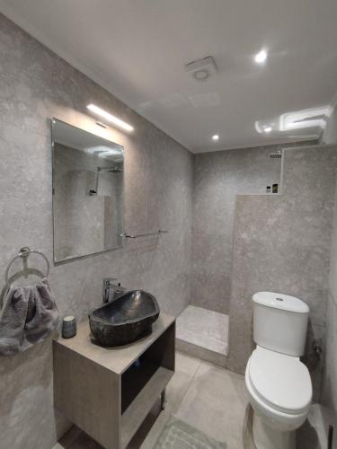 uma casa de banho com um lavatório, um WC e um espelho. em Althea Apartments 3 em Halki