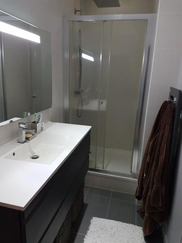a bathroom with a sink and a shower at Logement de standing à 9min du centre de Paris in Colombes