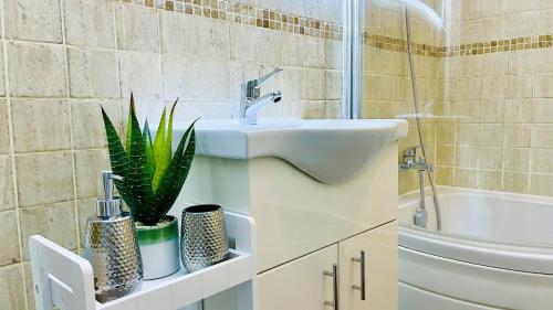 a bathroom with a sink and a plant on a shelf at Sunshine Place St. Albans in Saint Albans