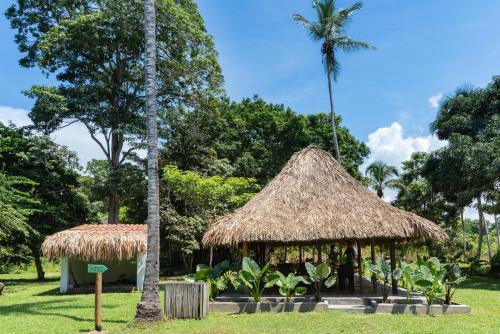 a hut with a straw roof and a palm tree at La Mello Country House in Palomino