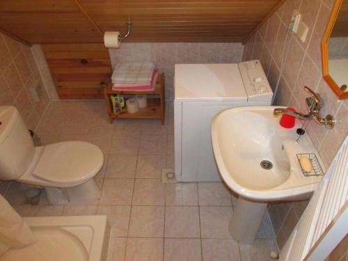 a small bathroom with a sink and a toilet at Holiday House Maluzina Low Tatras in Malužiná