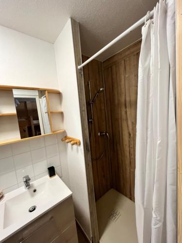 uma casa de banho com um chuveiro e um lavatório. em Babaute 7, studio typique au pied des pistes em Prémanon