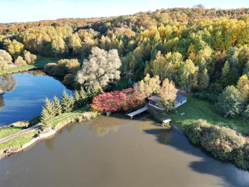 an aerial view of a lake with trees at Будинки рибалки in Sudovaya Vishnya