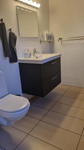 a bathroom with a white toilet and a sink at Kastanievejens overnatning in Svendborg