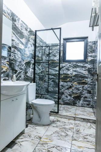 un bagno con WC, lavandino e doccia di CASA VIKI a Bănicel