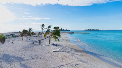Un paisaje natural cerca de la casa de huéspedes