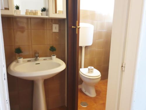 APARTMENT INN