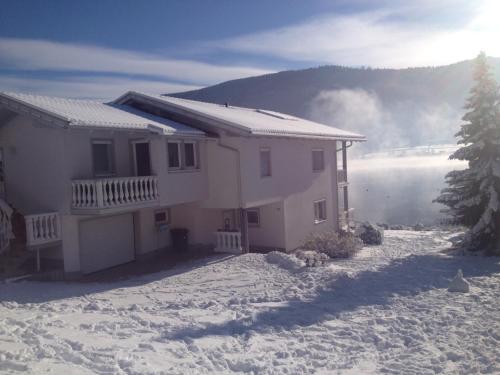 Appartements am See in de winter