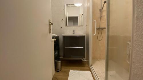 ein Bad mit einer Dusche, einem Waschbecken und einem Spiegel in der Unterkunft Joyau caché nivernais in Nevers