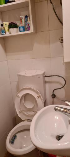 Koupelna v ubytování Ovcar banja
