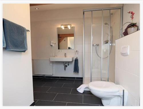 een badkamer met een toilet, een douche en een wastafel bij L'Ulivo Italienische Restaurant und Pension in Pleiskirchen