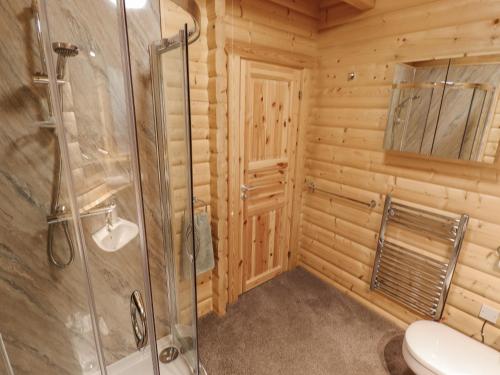 a bathroom with a shower and a toilet at Leafy Hollow Lodge in Louth