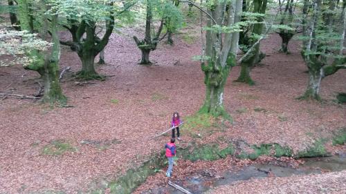 a person is standing in a park with trees at Andramari Tourist Home Parking& wifi in Amorebieta-Etxano