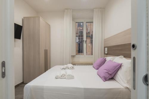 Bed&BikeRome GIULIO CESARE