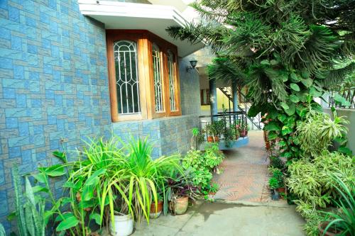 ZuriEL Suite GUEST HOUSE في كويمباتور: منزل من الطوب الأزرق مع النباتات أمامه