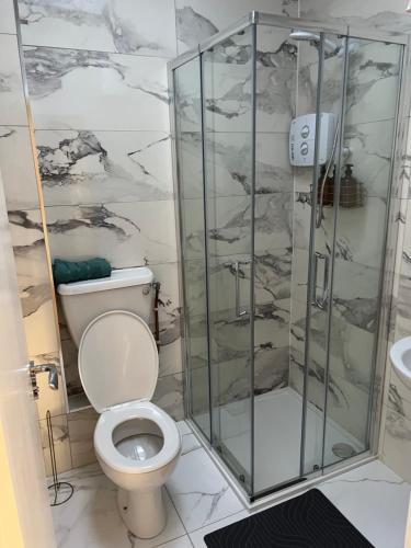 a bathroom with a toilet and a glass shower at Top of the Town No.5 in Cootehill