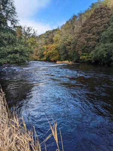 a river with trees on the side of it at Unique Orchard Lodge for couples with hot tub in Strathaven