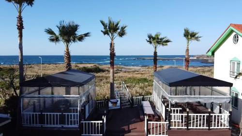 a view of the beach from a house with palm trees at Morning Beach Pension in Jeju