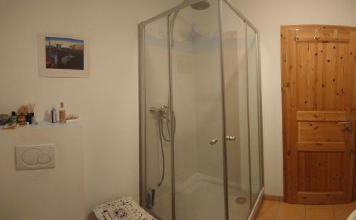 a shower with a glass door in a bathroom at Privatzimmer im Schwedenhaus Unsere Kleine Farm in Monschau