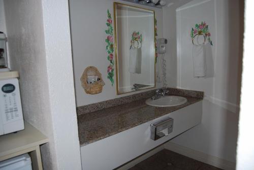 La salle de bains est pourvue d'un lavabo et d'un miroir. dans l'établissement Stanford Motor Inn, à Palo Alto