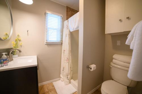 a bathroom with a toilet and a sink and a window at Adorable and Cozy Bungalow in Great Falls